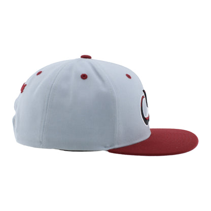 Colorado Mammoth Z11 Snapback Hat