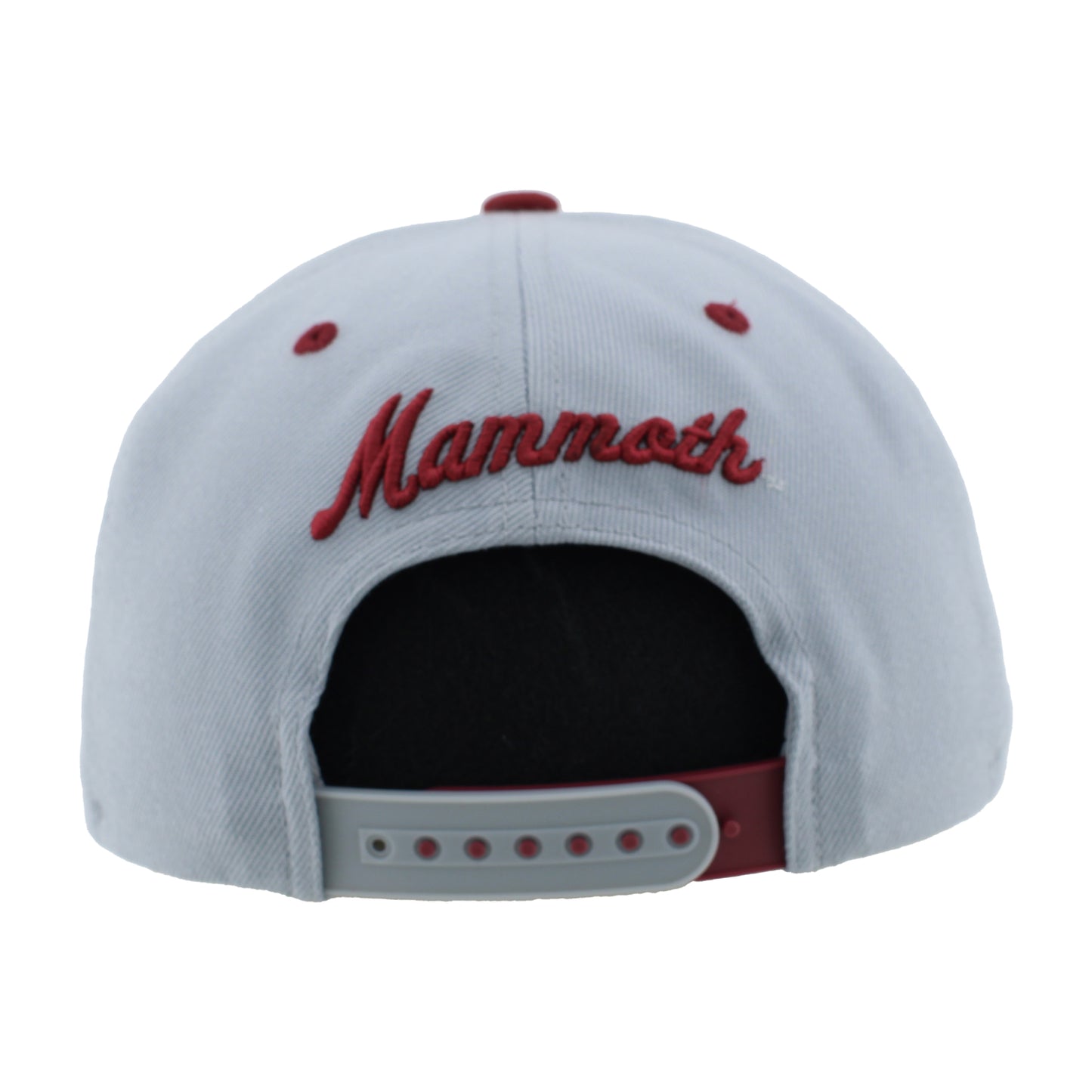 Colorado Mammoth Z11 Snapback Hat