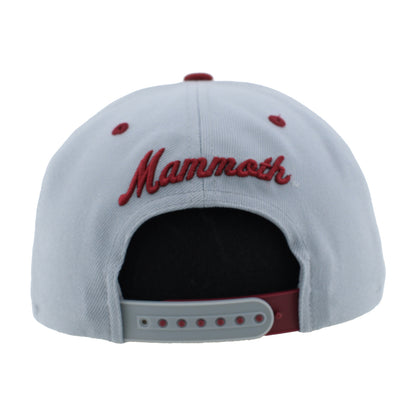 Colorado Mammoth Z11 Snapback Hat
