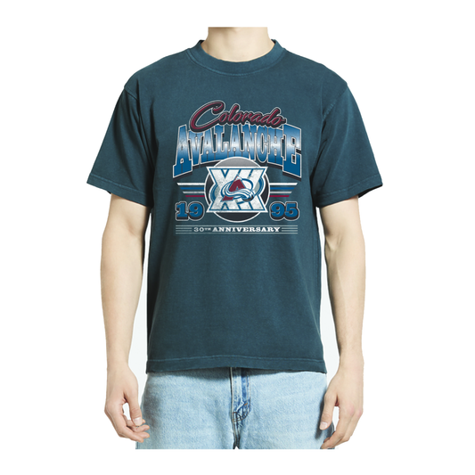 Colorado Avalanche 30th Anniversary Vintage T-Shirt