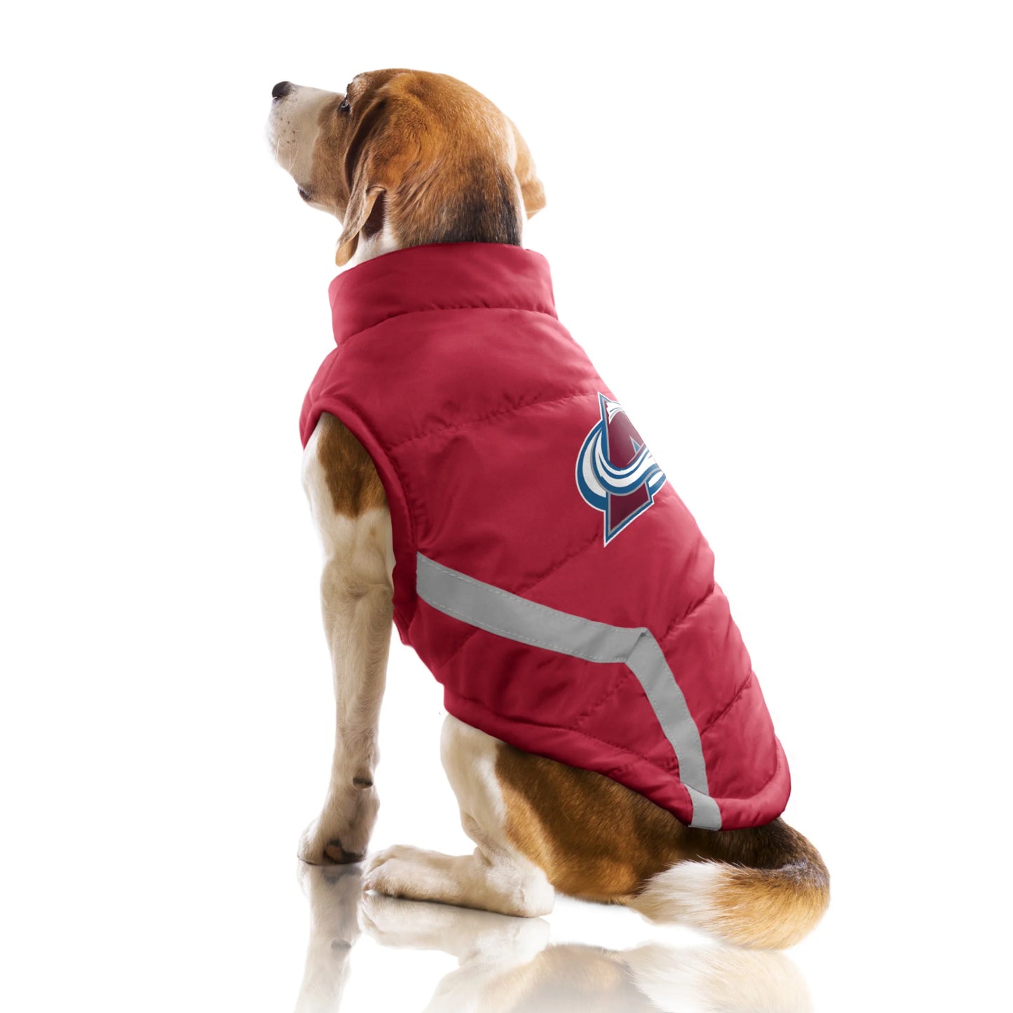 Dog wearing a red puffer vest with a logo on a white background