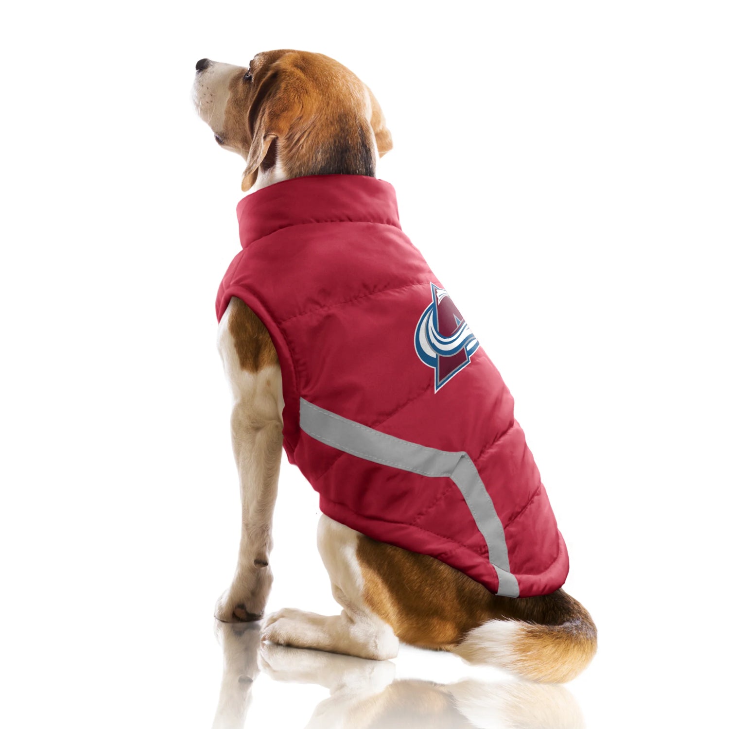 Dog wearing a red puffer vest with a logo on a white background
