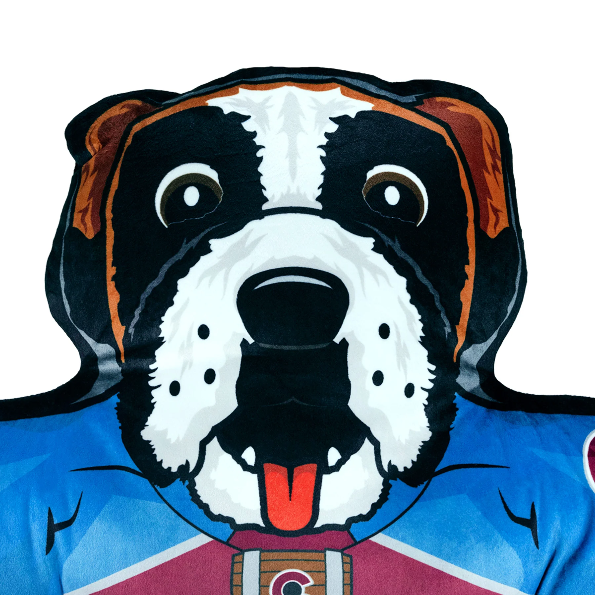 Bernie Banner Official Bernie Merch – Altitude Authentics