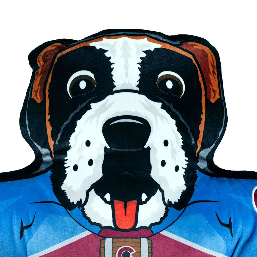 Official Bernie Merch – Altitude Authentics